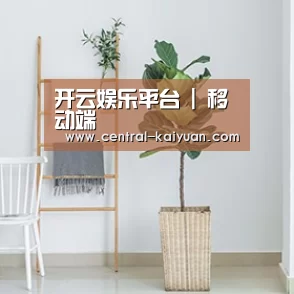 产品名称六