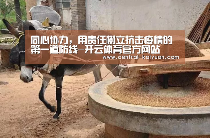 同心协力，用责任树立抗击疫情的第一道防线-开云体育官方网站