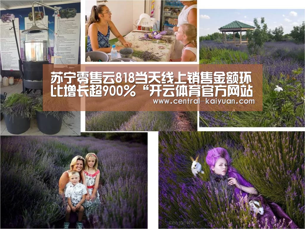 苏宁零售云818当天线上销售金额环比增长超900%“开云体育官方网站”(图2) 开元棋牌网址