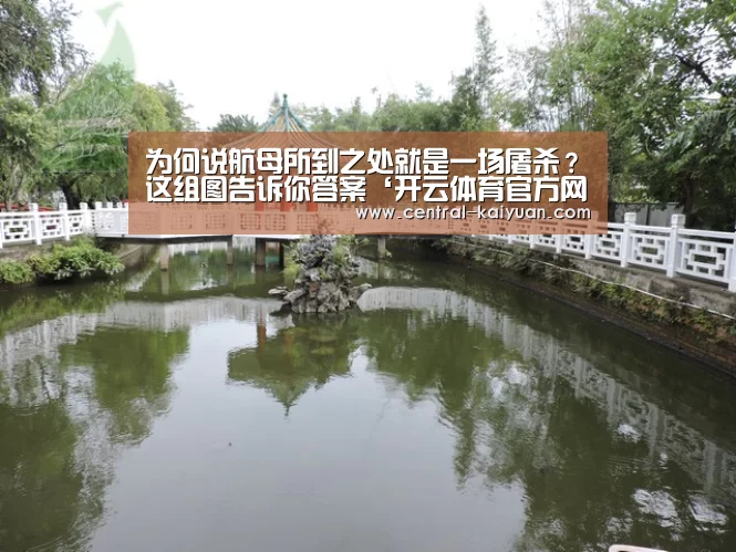 开云体育官网