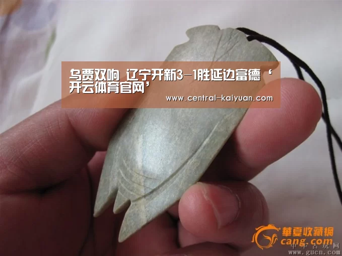 开云体育网站