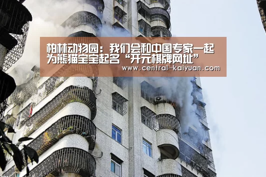 柏林动物园:我们会和中国专家一起为熊猫宝宝起名“开元棋牌网址”(图1) 开云体育网站