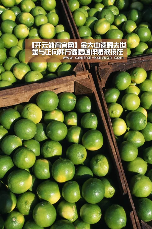 【开云体育官网】金大中遗孀去世 金与正向韩方递唁函伴娘被按在车内强行摸胸猥亵杨珊(图3) 开云体育官网