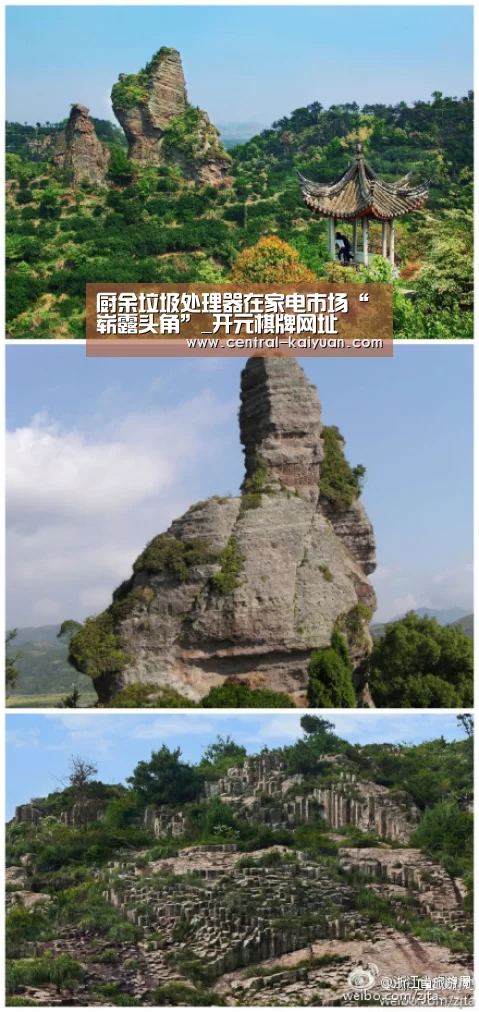 厨余垃圾处理器在家电市场“崭露头角”_开元棋牌网址(图3) 开元棋牌网址