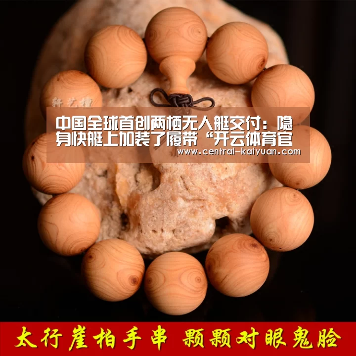 中国全球首创两栖无人艇交付:隐身快艇上加装了履带“开云体育官方网站”(图3) 开云体育网站