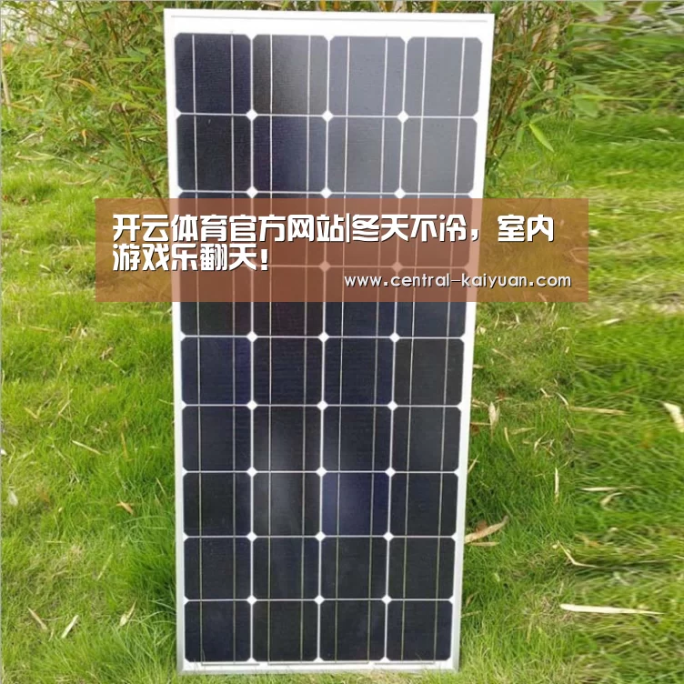 开云体育官方网站|冬天不冷,室内游戏乐翻天!(图1) 开云体育官方网站